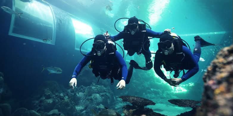 Introductory Scuba Diving
