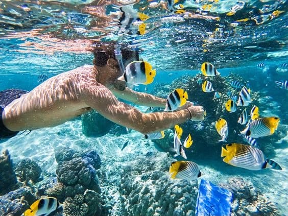 Marsa Alam – Snorkeling Day