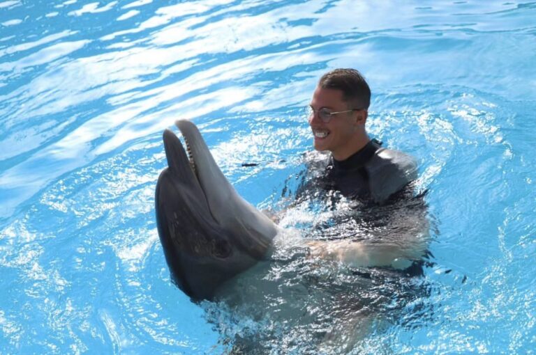 Swimming with Dolphins