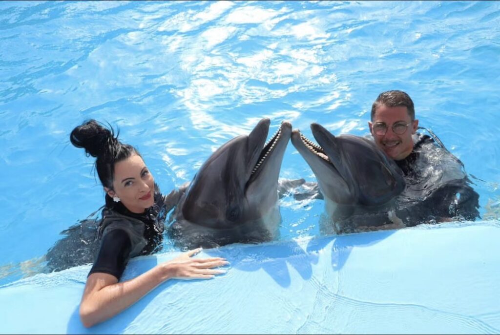 Swimming with Dolphins
