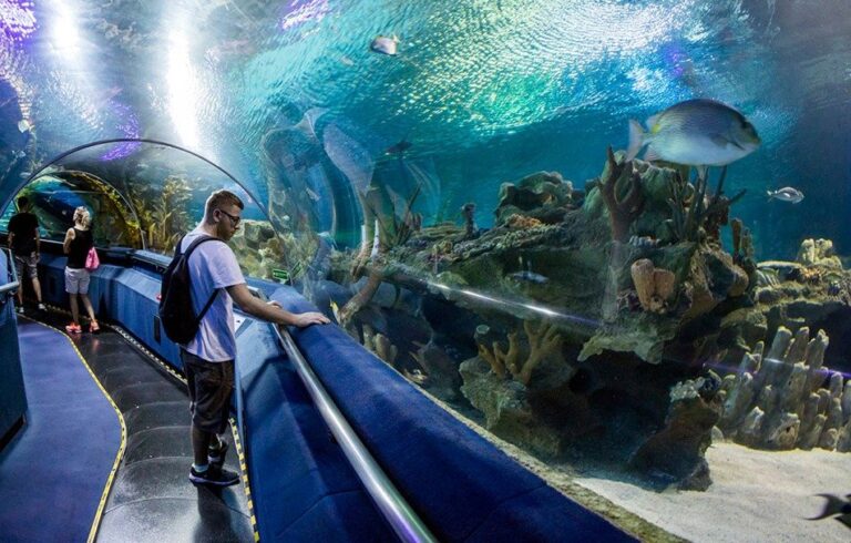 Aquarium Visit