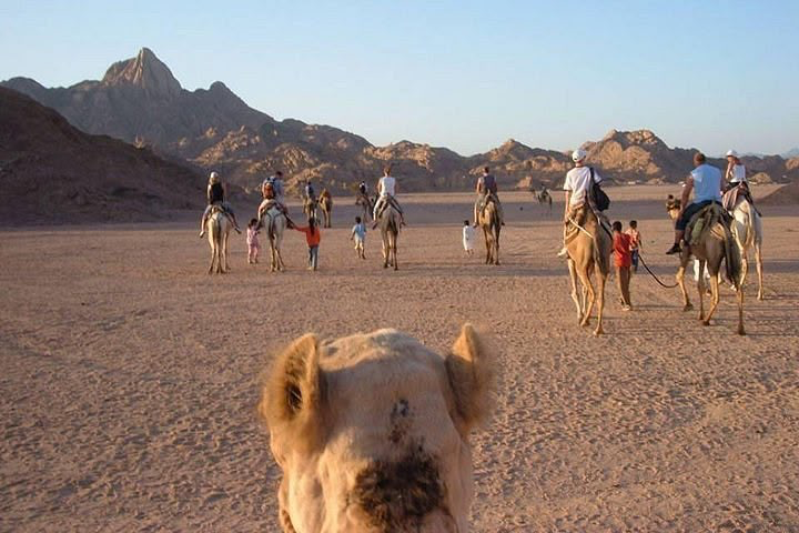 Grand Desert Safari