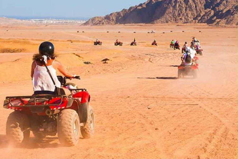 Grand Desert Safari