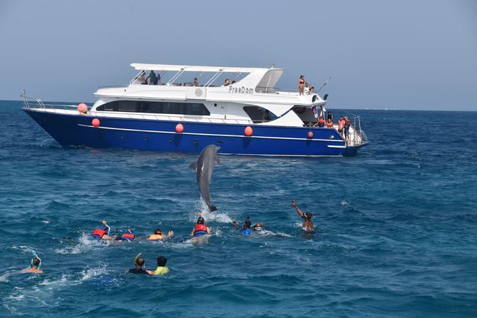 Dolphin House Snorkelling