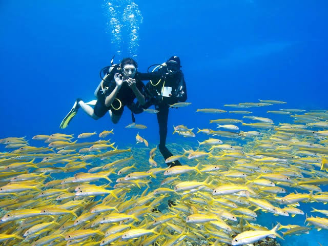 Scuba Diving