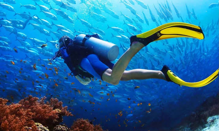 Scuba Diving