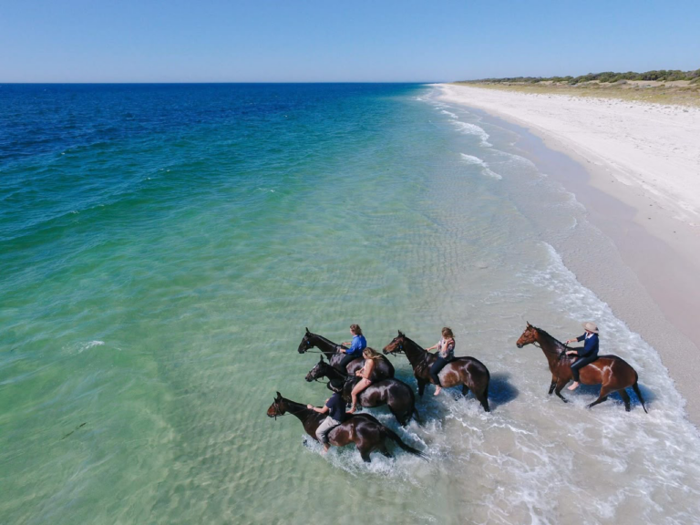 Horse Riding in the Desert