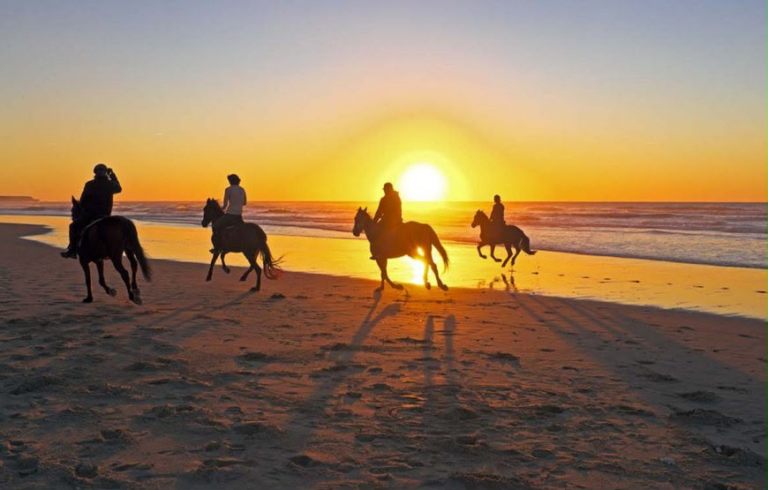 Horse Riding in the Desert